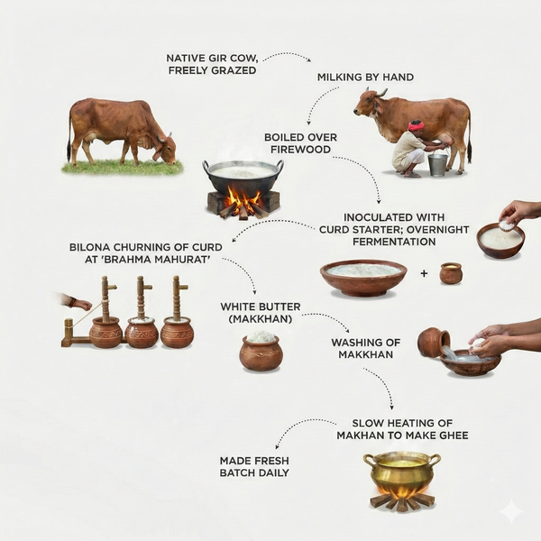 A2 Gir Cow Bilona Ghee